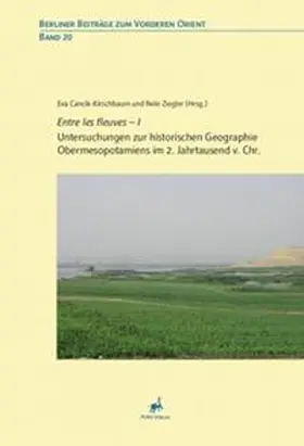 Cancik-Kirschbaum / Ziegler |  Entre les fleuves - I | Buch |  Sack Fachmedien