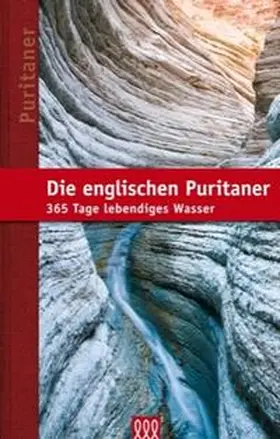 Pederson |  Die englischen Puritaner | Buch |  Sack Fachmedien