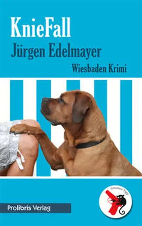 Edelmayer |  KnieFall | Buch |  Sack Fachmedien
