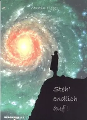 Fieber |  STEH ENDLICH AUF! Die Geschichte einer spirituellen Abhängigkeit | eBook | Sack Fachmedien