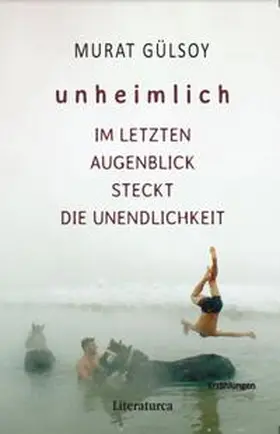 Gülsoy / Caner |  Unheimlich | Buch |  Sack Fachmedien