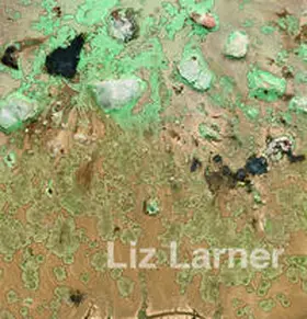 Larner / Pakesch |  Liz Larner | Buch |  Sack Fachmedien
