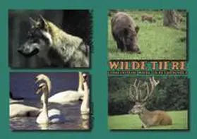 Kessel |  Wilde Tiere | Buch |  Sack Fachmedien