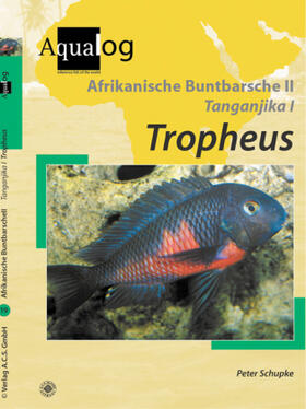 Schupke | Afrikanische Buntbarsche 2. Tanganjika 1. Tropheus | Buch | 978-3-936027-37-2 | sack.de