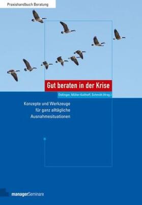 Schmidt / Dollinger / Müller-Kalthoff | Gut beraten in der Krise | Buch | 978-3-936075-98-4 | sack.de