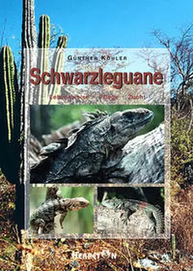 Köhler |  Schwarzleguane | Buch |  Sack Fachmedien