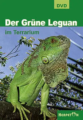  Der Grüne Leguan im Terrarium | Sonstiges |  Sack Fachmedien
