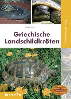 Dost |  Griechische Landschildkröten | Buch |  Sack Fachmedien