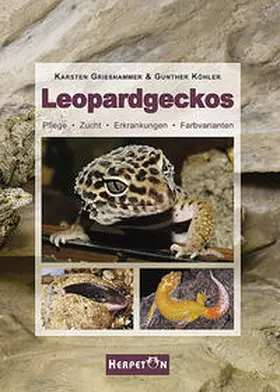 Grießhammer / Köhler |  Leopardgeckos | Buch |  Sack Fachmedien