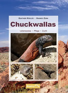 Köhler / Zorn |  Chuckwallas | Buch |  Sack Fachmedien