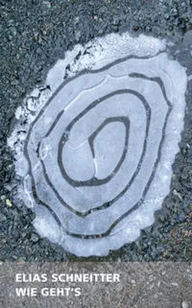 Schneitter |  Wie geht’s | Buch |  Sack Fachmedien