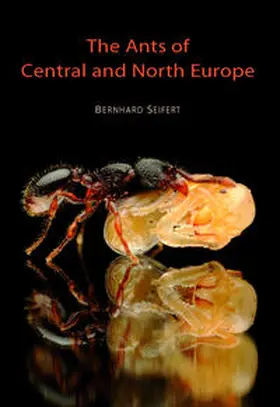 Seifert |  The Ants of Central and North Europe | Buch |  Sack Fachmedien