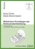 Christ / Brand-Saberi |  Molekulare Grundlagen der Embryonalentwicklung | Buch |  Sack Fachmedien