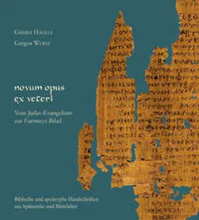 Hägele / Wurst |  Novum opus ex veteri | Buch |  Sack Fachmedien