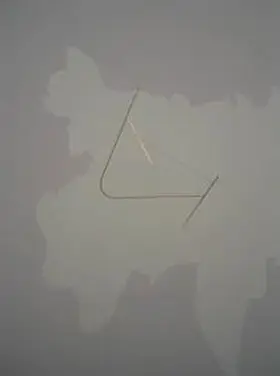 Sarcevic / Project Arts Centre, Dublin |  To what Extent Should an Artist understand the implications of his or her Findings | Buch |  Sack Fachmedien