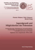 Dünkel / Gebauer / Geng |  Jugendgewalt und Möglichkeiten der Prävention | Buch |  Sack Fachmedien