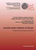 Dünkel / Grzywa / Horsfield |  Juvenile Justice Systems in Europe | Buch |  Sack Fachmedien