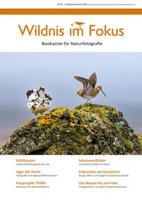 Ettl |  Wildnis im Fokus | Buch |  Sack Fachmedien
