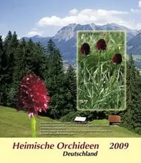  Sammelbilder Heimische Orchideen (2009) | Sonstiges |  Sack Fachmedien