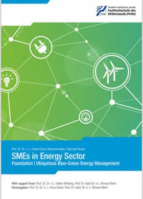 Dreier / Merk / Mohammadian |  SMEs in Energy Sector | Buch |  Sack Fachmedien