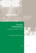 Hofmann / Hübener / Meusinger |  Fürsorge in Brandenburg | Buch |  Sack Fachmedien