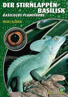 Kober |  Der Stirnlappenbasilisk | Buch |  Sack Fachmedien