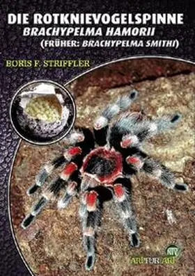 Striffler | Die Rotknie Vogelspinne | Buch | 978-3-937285-10-8 | www.sack.de