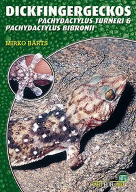 Barts |  Dickfingergeckos | Buch |  Sack Fachmedien