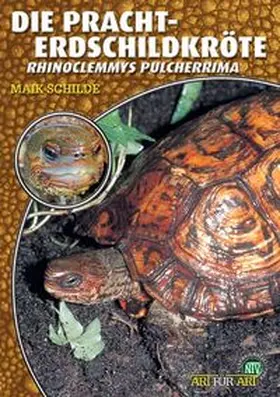 Schilde | Die Pracht-Erdschildkröte | Buch | 978-3-937285-33-7 | www.sack.de