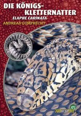 Gumprecht |  Die Königskletternatter | Buch |  Sack Fachmedien