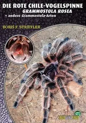 Striffler |  Die Rote Chile-Vogelspinne + andere Grammostaola-Arten | Buch |  Sack Fachmedien