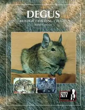 Gumnior | Degus | Buch | 978-3-937285-53-5 | www.sack.de