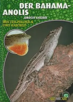 Bartelt / Zeilfelder | Der Bahama-Anolis | Buch | 978-3-937285-62-7 | www.sack.de