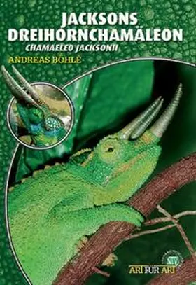 Böhle | Jacksons Dreihornchamäleon | Buch | 978-3-937285-64-1 | www.sack.de
