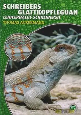 Ackermann | Schreibers Glattkopfleguan | Buch | 978-3-937285-70-2 | sack.de