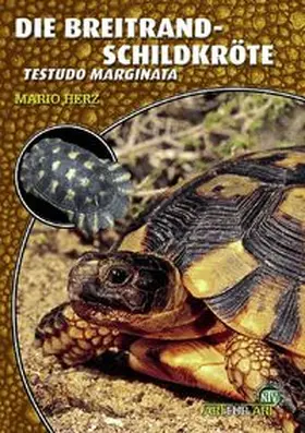 Herz |  Die Breitrandschildkröte | Buch |  Sack Fachmedien