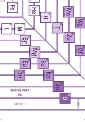 Popp |  118 | Buch |  Sack Fachmedien