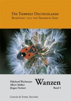 Wachmann / Melber / Deckert |  Wanzen, Band 3 | Buch |  Sack Fachmedien