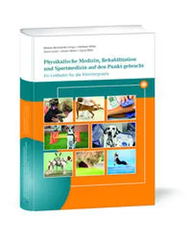 VBS GmbH / Bockstahler / Wittek |  Physikalische Medizin, Rehabilitation und Sportmedizin auf den Punkt gebracht. | Buch |  Sack Fachmedien