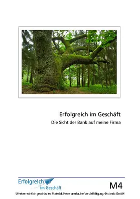 Caspary / Kriegelstein / Gieschen |  Modul 4: Die Sicht der Bank auf meine Firma | eBook | Sack Fachmedien