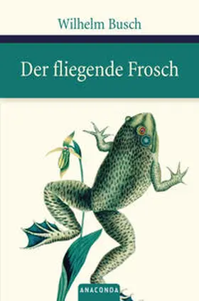 Busch |  Der fliegende Frosch | Buch |  Sack Fachmedien