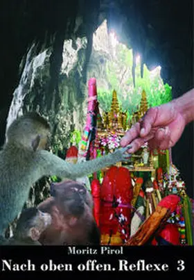 Pirol |  Nach oben offen. Reflexe 3 | Buch |  Sack Fachmedien