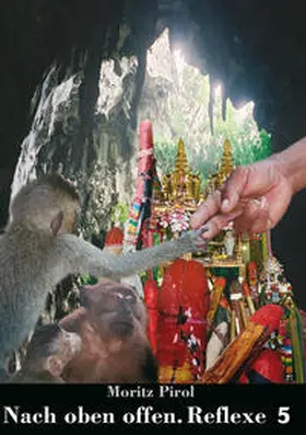 Pirol |  Nach oben offen. Reflexe 5 | Buch |  Sack Fachmedien