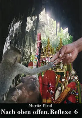 Pirol |  Nach oben offen. Reflexe  6 | Buch |  Sack Fachmedien