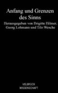 Hilmer / Lohmann / Wesche |  Anfang und Grenzen des Sinns | Buch |  Sack Fachmedien