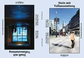 Dichtl / Schmidt / Brockhaus |  Stein mit Vollausstattung | Buch |  Sack Fachmedien