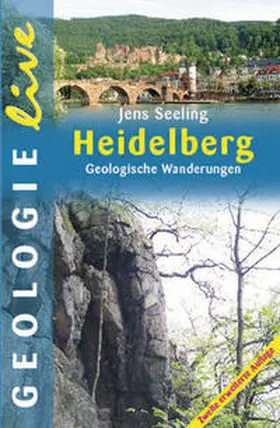 Seeling |  Heidelberg | Buch |  Sack Fachmedien