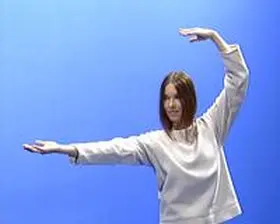 Lichtenau |  Die 18 Übungen des Taiji-Qigong | Sonstiges |  Sack Fachmedien