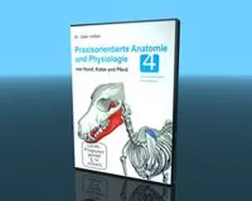 Video-Commerz GmbH |  Praxisorientierte Anatomie und Physiologie von Hund, Katze und Pferd | Sonstiges |  Sack Fachmedien