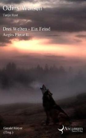 Rast / Meyer |  Odins Waisen | Buch |  Sack Fachmedien